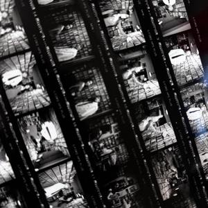 Aletta Ocean, 大战黑鬼
