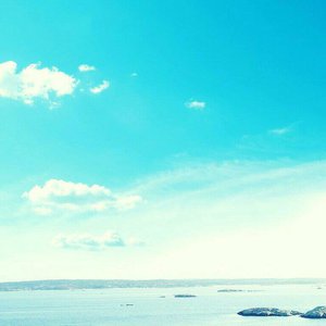 Aletta Ocean, 大战黑鬼
