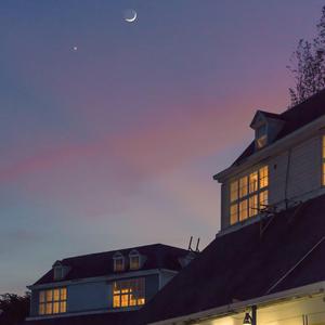 Aletta Ocean, 大战黑鬼
