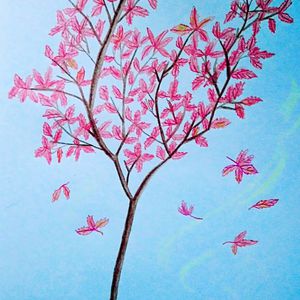 Aletta Ocean, 大战黑鬼
